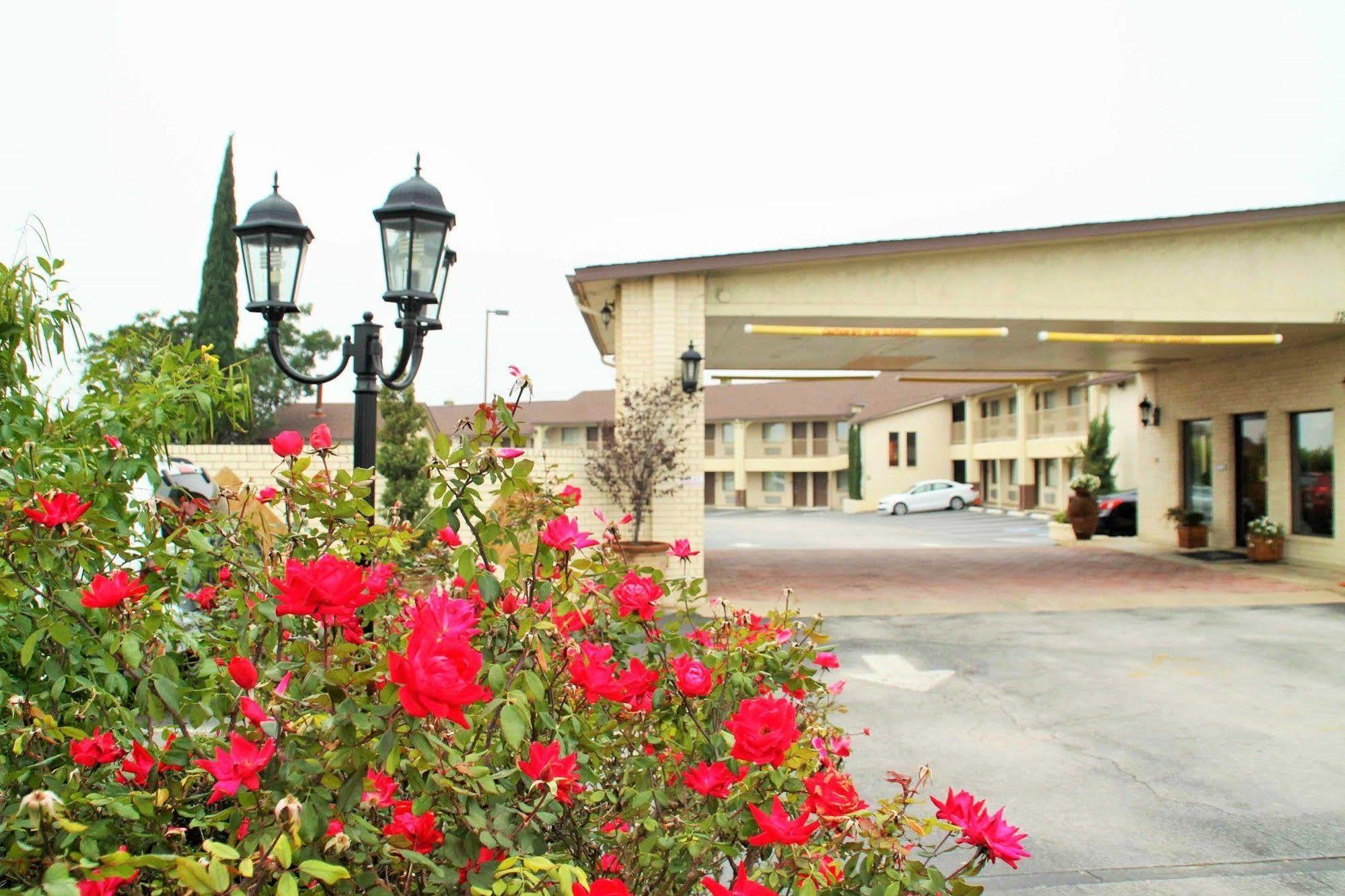 Quality Inn Near Lake มาเบิล ฟอลส์ ภายนอก รูปภาพ